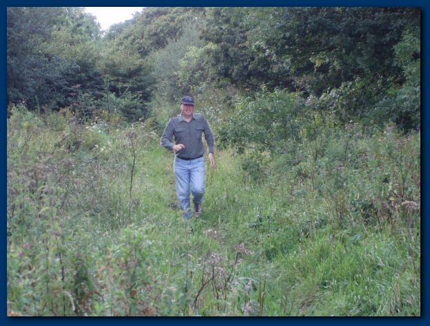 600x449 pixels (181K)